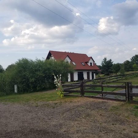Mazury Apartament Zakatek Salpia B Prażmowo Exterior foto